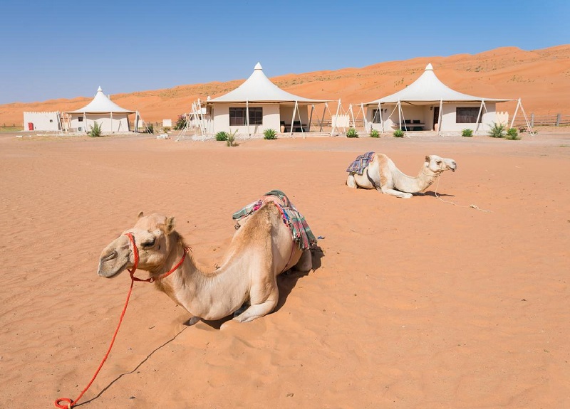 tourism desert camp