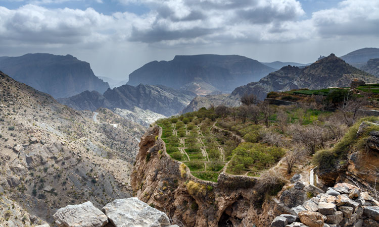 oman treasure tours